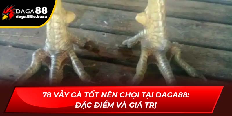 78 vảy gà tốt nên chọi