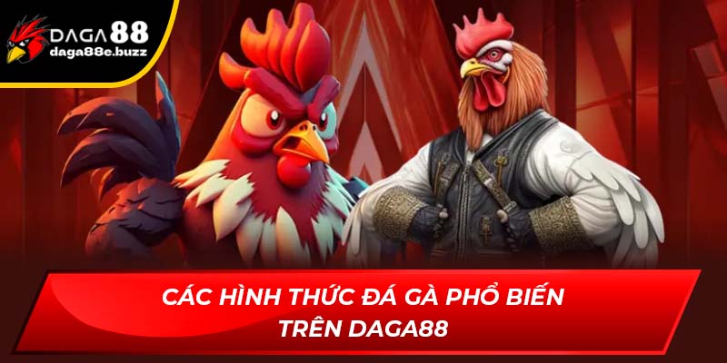 Các hình thức đá gà phổ biến trên Daga88