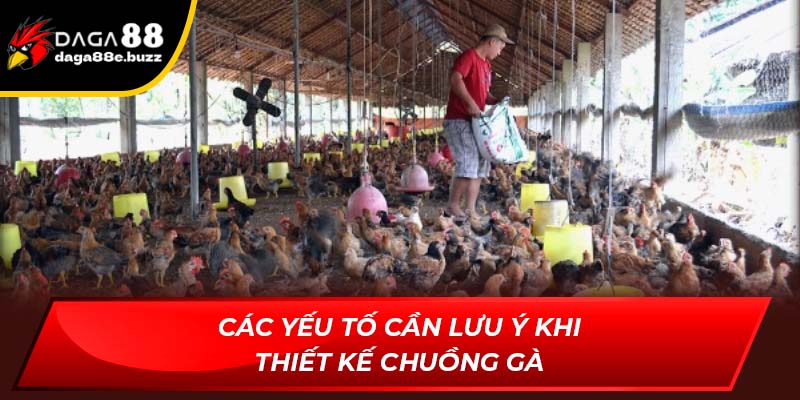 Các yếu tố cần lưu ý khi thiết kế chuồng gà