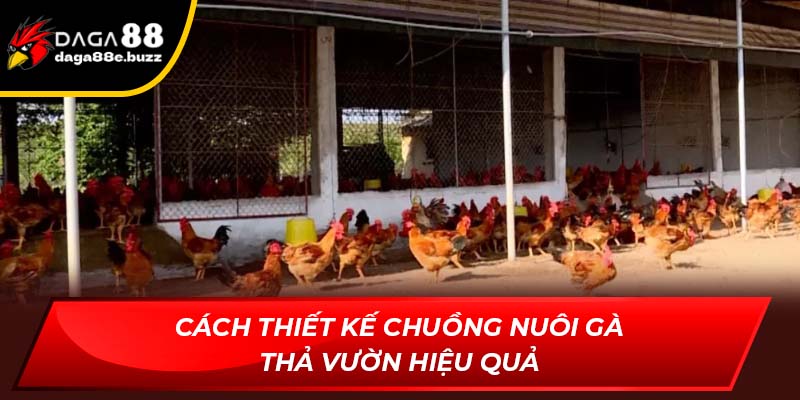 Cách thiết kế chuồng nuôi gà thả vườn hiệu quả