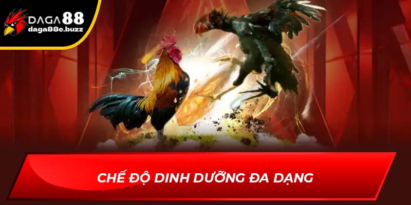Chế độ dinh dưỡng đa dạng trong việc nuôi gà thả vườn