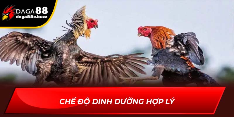 Chế độ dinh dưỡng hợp lý