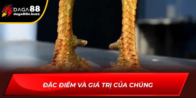 Đặc điểm và giá trị của chúng