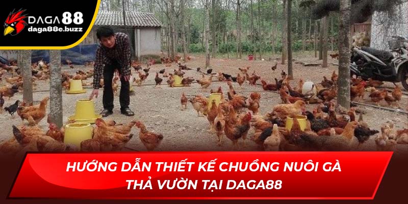 Thiết kế chuồng nuôi gà thả vườn