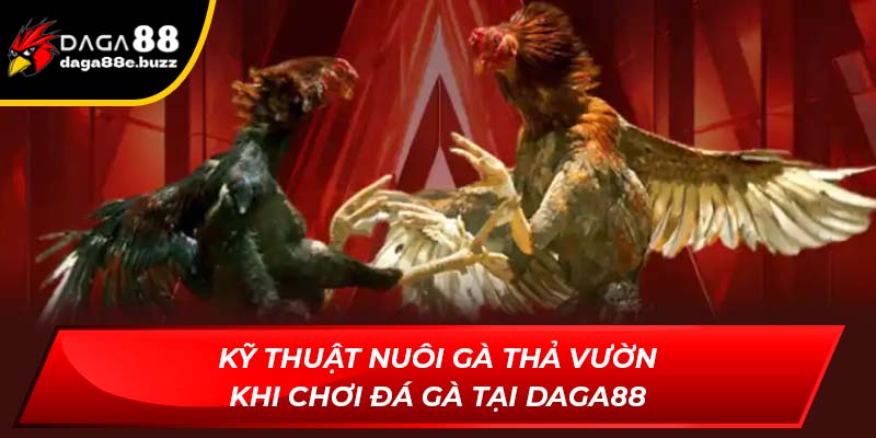 nuôi gà thả vườn
