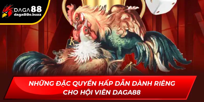 Những đặc quyền hấp dẫn dành riêng cho hội viên Daga88