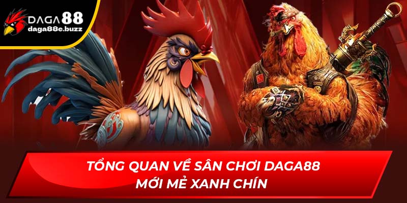 Tổng quan về sân chơi Daga88 mới mẻ xanh chín