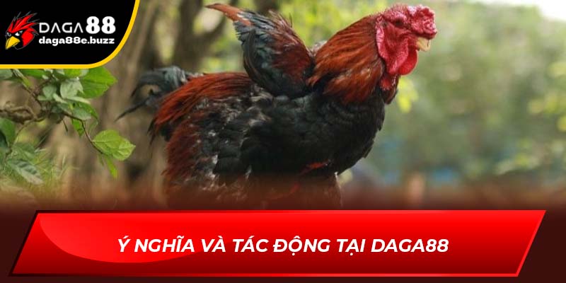 Ý nghĩa và tác động tại Daga88