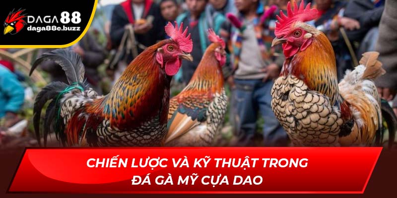 Chiến lược và kỹ thuật trong Đá gà Mỹ cựa dao
