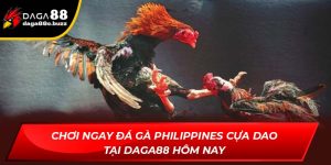 đá gà Philippines cựa dao