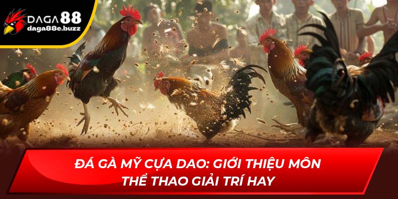 Đá gà Mỹ cựa dao: Giới thiệu môn thể thao giải trí hay