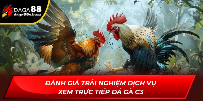Đánh giá trải nghiệm dịch vụ xem trực tiếp đá gà C3