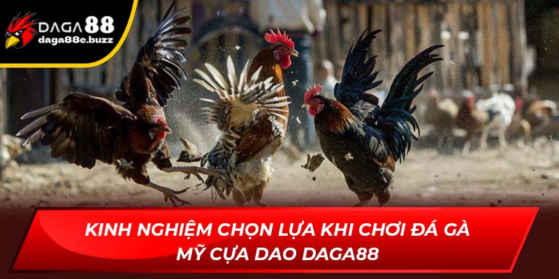 Kinh nghiệm chọn lựa khi chơi Đá gà Mỹ cựa dao