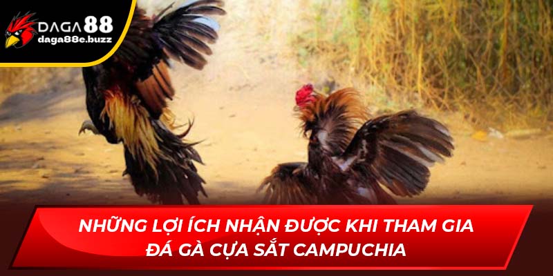 Những lợi ích nhận được khi chơi đá gà cựa sắt Campuchia