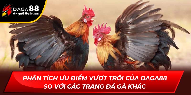 Phân tích ưu điểm vượt trội của Daga88 so với các trang đá gà khác