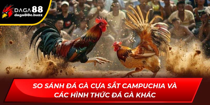 So sánh đá gà cựa sắt Campuchia với các hình thức đá gà khác
