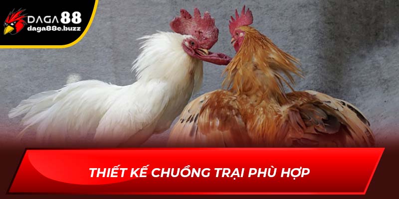 Thiết kế chuồng trại phù hợp để gà đá