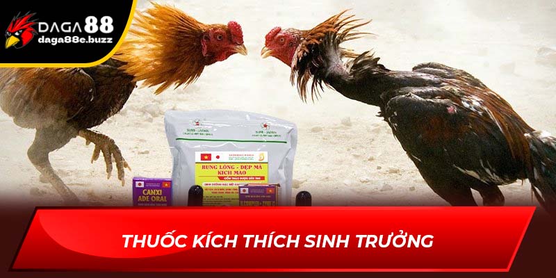 Thuốc kích thích sinh trưởng gà đá