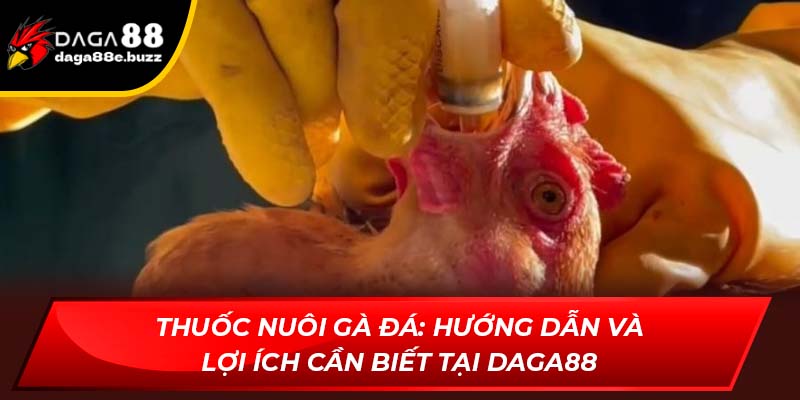 Thuốc nuôi gà đá
