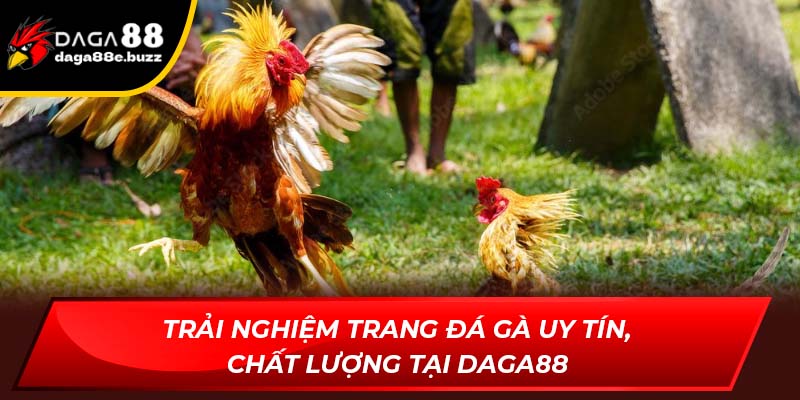 trang đá gà uy tín