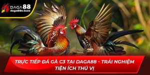 trực tiếp đá gà C3