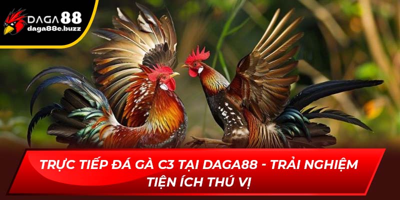 trực tiếp đá gà C3