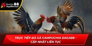 Trực tiếp đá gà Campuchia