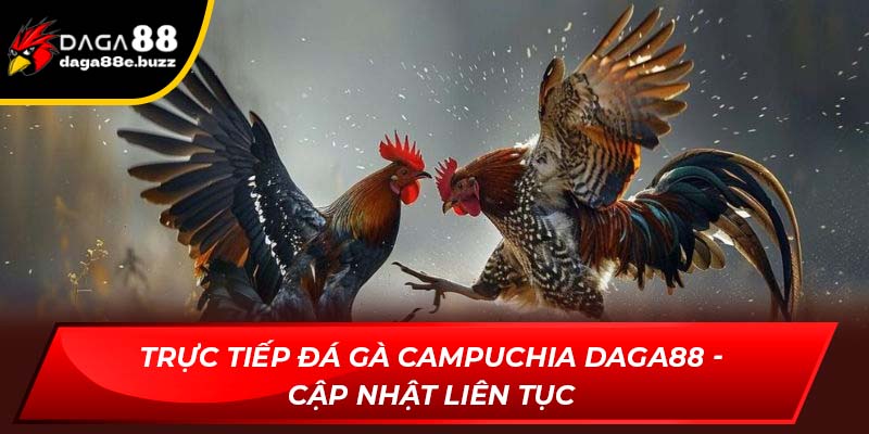 Trực tiếp đá gà Campuchia
